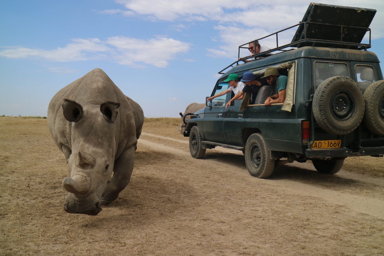 Tina Tower and family on safari in Kenya