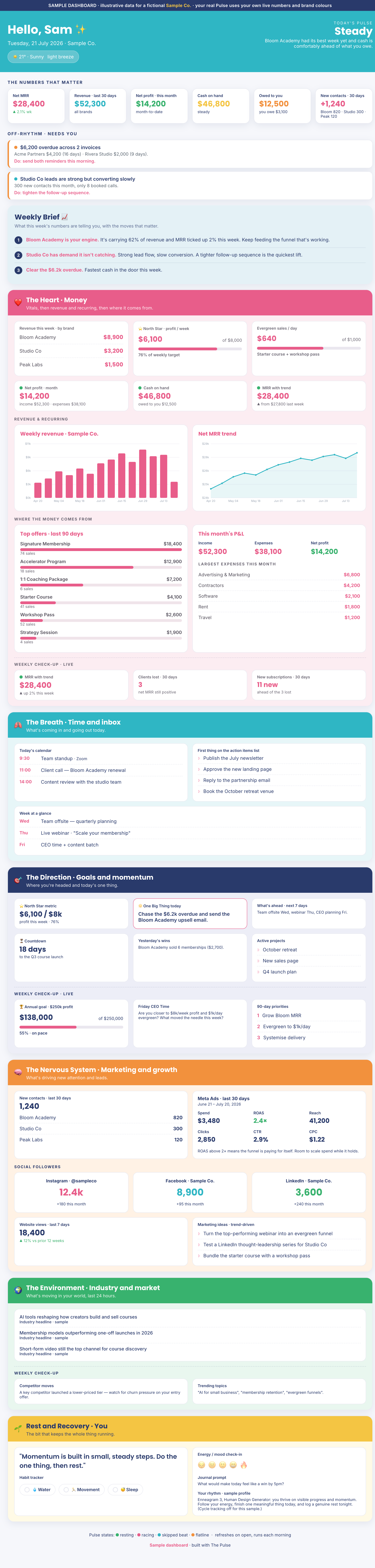 The Pulse, sample dashboard